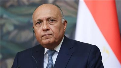 وزير الخارجية يتوجه إلى باريس لبحث وقف إطلاق النار في غزة