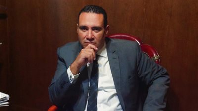 امين حماة الوطن بالشيخ زايد: إدلاء 70٪ من المقيدين مشاركه غير مسبوقة