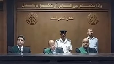 حيثيات المؤبد لقاتل جاره ببنها.. والسبب 