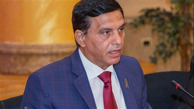 أمين عام حماة الوطن: طوابير المصريين أمام صناديق الاقتراع تدعو للفخر والاعتزاز