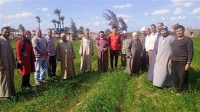 زراعة الشرقية تنفذ مدرسة حقلية لمزارعي قرية بني أيوب بأبو حماد