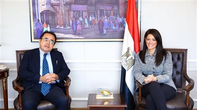 وزيرة التعاون الدولى تلتقى بمدير