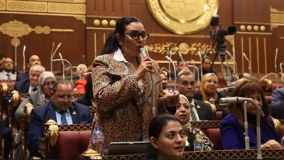 عضو اقتصادية الشيوخ تطالب بزيارة ميدانية للمنطقة الاقتصادية لقناة السويس 