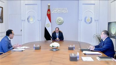 الرئيس السيسي يوجه بتعزيز جهود توفير مستلزمات الإنتاج الضرورية لعملية التنمية 