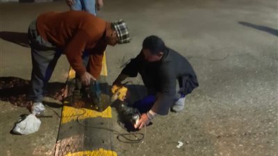 محافظ أسيوط يعلن تركيب مطبات صناعية بمحيط المستشفيات الجامعية 