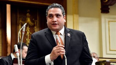 برلماني: الانتخابات الرئاسية نجحت بنسبة لم تشهدها مصر من قبل