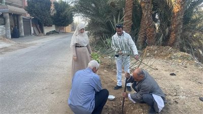 محافظ أسيوط: تنفيذ أعمال تشجير وزراعة شتلات بمركز البداري
