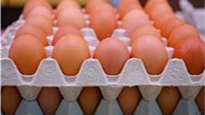 أسعار البيض اليوم الجمعة 5 يناير