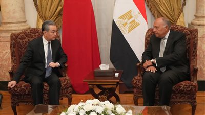 شكري ووزير خارجية الصين يبحثان تطورات الوضع في غزة والقضايا الإقليمية والدولية