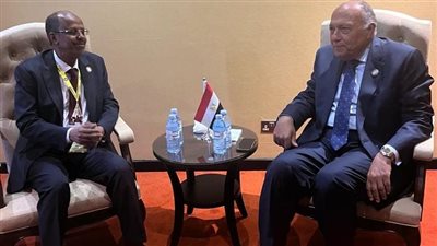 وزير الخارجية يبحث مع نظيره الجيبوتي تطورات الأوضاع في السودان والصومال