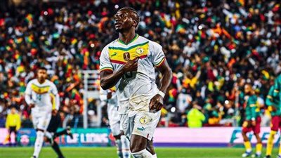 السنغال تتأهل للدور القادم والكاميرون تفتقد القائد