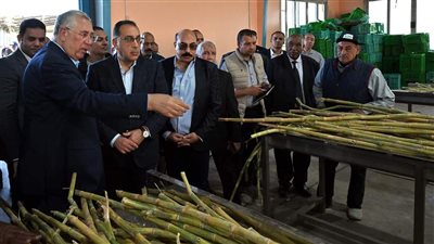 رئيس الوزراء يتفقد محطة شتلات قصب السكر بكوم امبو