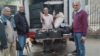 محافظ كفرالشيخ: إقبال كبير على شراء الأسماك الحية المطروحة ببيلا
