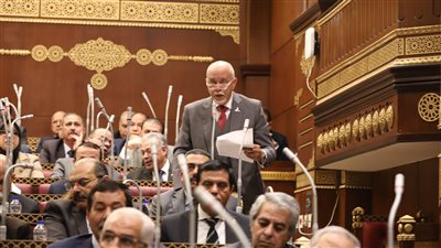 عضو بالشيوخ يقترح إطلاق مبادرة 