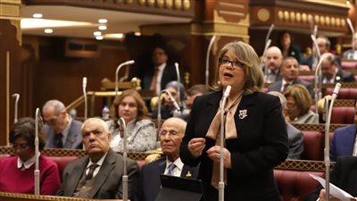 وكيل الشيوخ: السياحة الداخلية لا تقل أهمية عن الخارجية.. والمبادرات حق للمواطنين