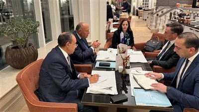 وزير الخارجية يلتقي برئيس لجنة العلاقات الخارجية بالبرلمان الأوروبي