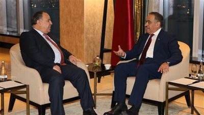 وزير المالية: مصر نجحت خلال العقد الماضي في تأسيس بنية تحتية قوية جاذبة وداعمة للاستثمارات