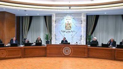 وزير المالية يستعرض أمام الوزراء موقف مبادرة استيراد سيارات المصريين بالخارج