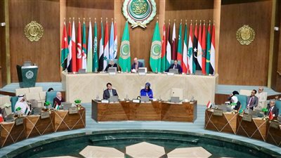 انطلاق الاجتماعات التحضيرية للمجلس الاقتصادي والاجتماعي باجتماع اللجنة الاجتماعية