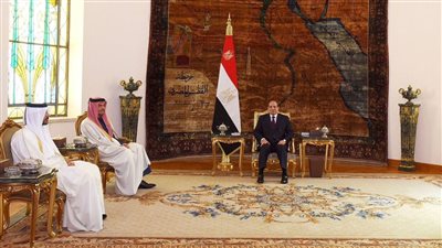 الرئيس السيسي ووزير خارجية قطر يحذران من خطورة التصعيد الإسرائيلي في رفح