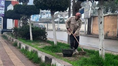 محافظ الغربية يتابع الجهود المكثفة لزراعة الأشجار المثمرة بالطرق والحدائق