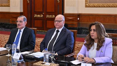محافظ كفرالشيخ يشارك فى إجتماع مجلس المحافظين برئاسة رئيس مجلس الوزراء