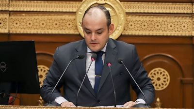 وزير التجارة: صادرات مصر السلعية تسجل 35 مليار و631 مليون دولار خلال عام 2023