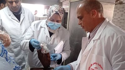 ضبط طن دواجن ولحوم مخالفة خلال الحملات التفتيشية بالشرقية