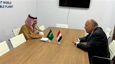 وزير الخارجية يلتقي نظيره السعودي لبحث الأوضاع الإنسانية بـ غزة