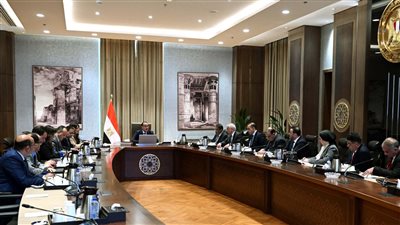 مدبولي: مجموعة تنسيقية من الحكومة وأعضاء الحوار الوطني لمتابعة توصيات المرحلة الأولى