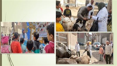 جامعة الزقازيق و بيطري الشرقية يُنظمان قافلة طبية توعوية وقائية مجانية بقرية أولاد سيف
