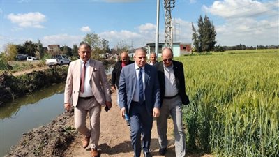 السكرتير العام المساعد للبحيرة يتفقد محصول القمح بمركز المحمودية
