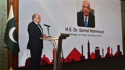 وزير قطاع الأعمال العام : تعزيز التعاون الاقتصادي بين مصر وباكستان