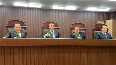 الإعدام للأشقاء الثلاثة.. والمشدد لثلاثة والبراءة للأب 