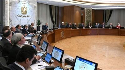 الوزراء: 2000 جنيه سعر توريد أردب القمح لموسم 2024\2025