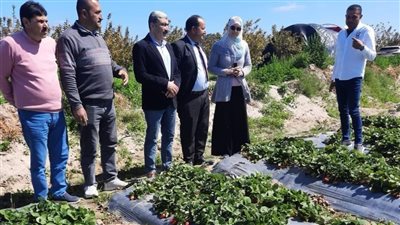  تنظيم ندوة إرشادية توعوية عن العمليات الزراعية بمركزى بلطيم وسيدى سالم كفرالشيخ 