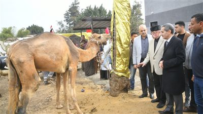 محافظ الغربية يفتتح الوحدة البيطرية بمسجد وصيف بتكلفة 2 مليون جنيه 