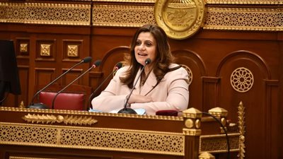وزيرة الهجرة تستعرض أمام مجلس الشيوخ إجراءات الوزارة للتواصل مع الطلاب المصريين بالخارج