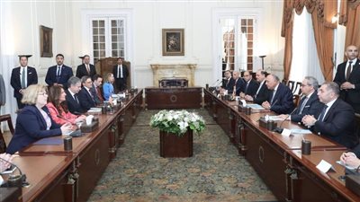 خلال زيارته للقاهرة.. وزير الخارجية يستقبل نظيره الأمريكي 