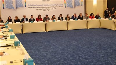 وزير العمل يُلقي كلمة في إجتماع لجنة التسيير المُشتركة للإطار الاستراتيجي للشراكة بين مصر والأمم المتحدة