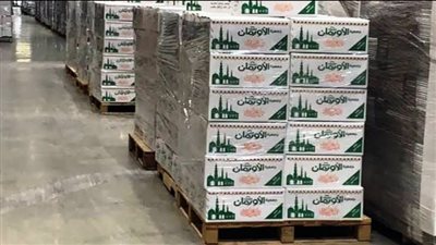 توزيع 4 آلاف كرتونة مواد غذائية و 16 طن لحوم مجمدة للأكثر احتياجا بالشرقية