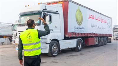 وصول قافلة المساعدات الإنسانية من صندوق تحيا مصر إلى الجانب الفلسطيني