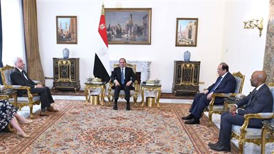 الرئيس السيسي يشدد على خطورة الأوضاع الإنسانية التي تصل إلى حد المجاعة في قطاع غزة
