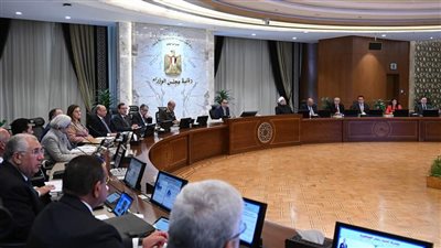 مجلس الوزراء يوافق على تخصيص قطعتي أرض لوزارة الطيران لإقامة مطار رأس الحكمة الدولي