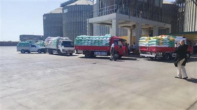 وزير التموين يعلن اليوم فتح جميع نقاط استلام وتوريد القمح المحلى بالمحافظات