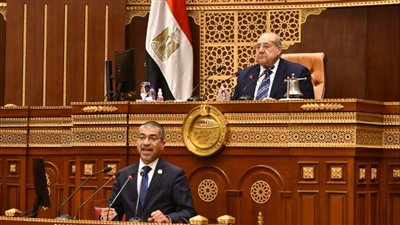  مجلس الشيوخ يطالب الحكومة بإجابات واضحة بشأن تحديات منظومة التأمين الصحي الشامل