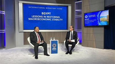 وزير المالية: الدولة تدفع القطاع الخاص بكل قوة حتى يقود الاقتصاد المصرى 