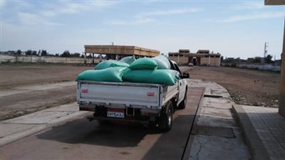 استلام 382طن قمح من خلال 25موقعا بكفرالشيخ حتى اليوم 