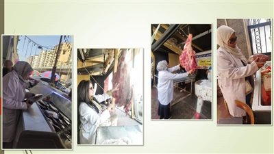 بيطري الشرقية يضبط 6,5 طن لحوم بلدية و مجمدة مجهولة المصدر 