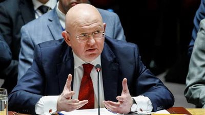 سفير روسيا لدى الأمم المتحدة: الولايات المتحدة الأمريكية لا تدعم حق الفلسطينيين فى إقامة دولتهم للمرة الخامسة